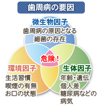 画像は準備中です